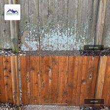 Fence Restoration in Franklin, TN 3